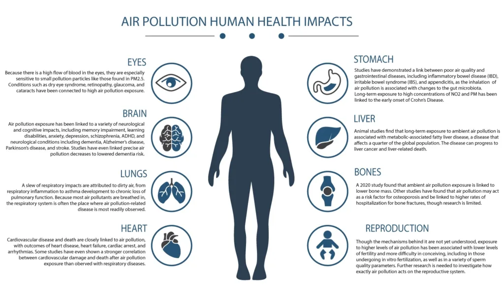 How Does Air Quality Affect Aging?