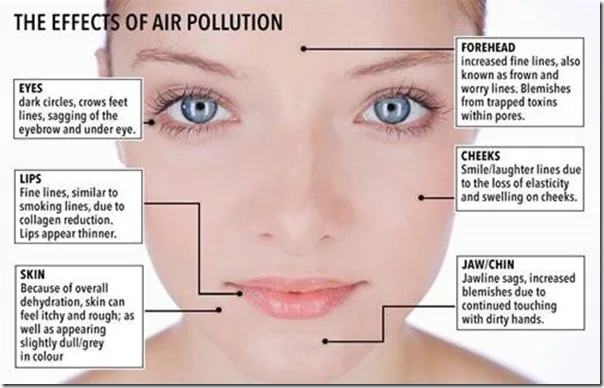 How Does Air Quality Affect Aging?